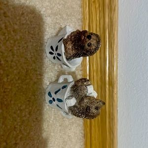 Small porcupines in tea cups